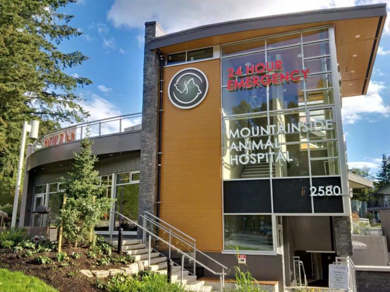 Mountainside Animal Hospital